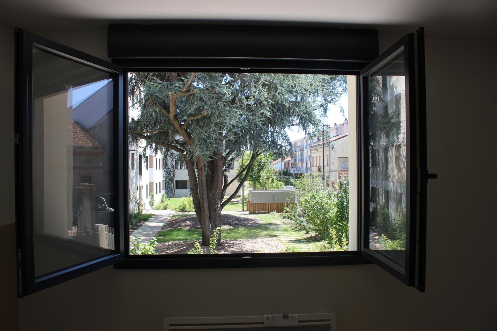 Elegante Maison De Ville Renovee Toulouse Exteriör bild